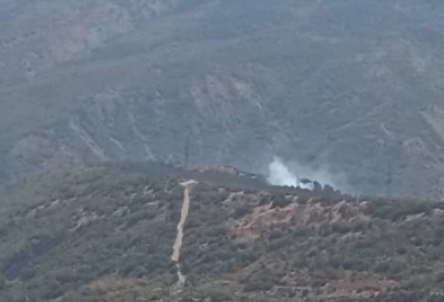 სოფელ ხანის მიმდებარედ შერეული ტყის ფერდობზე ხანძარია