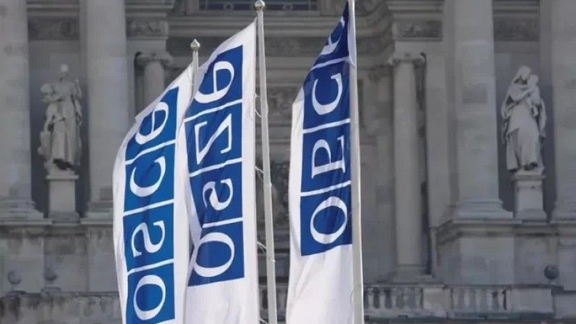 საქართველოში არსებულ ვითარებას ეუთო-ს 39 ქვეყანა ეხმიანება