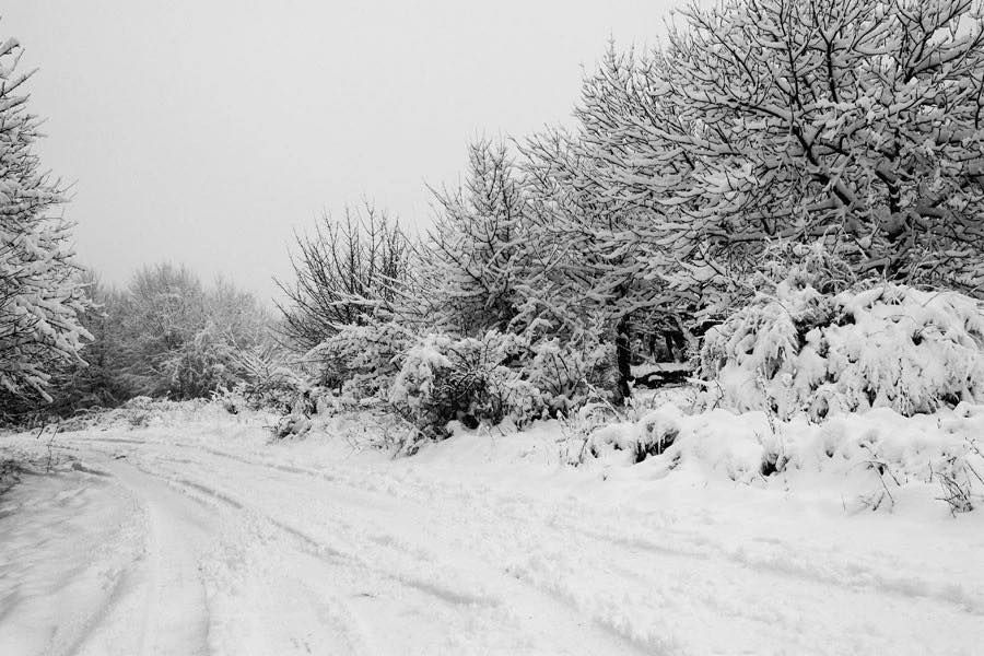 საირმე-აბასთუმანისა და წყალთაშუა-ზეკარის გზის გარკვეულ მონაკვეთებზე მოძრაობა იზღუდება