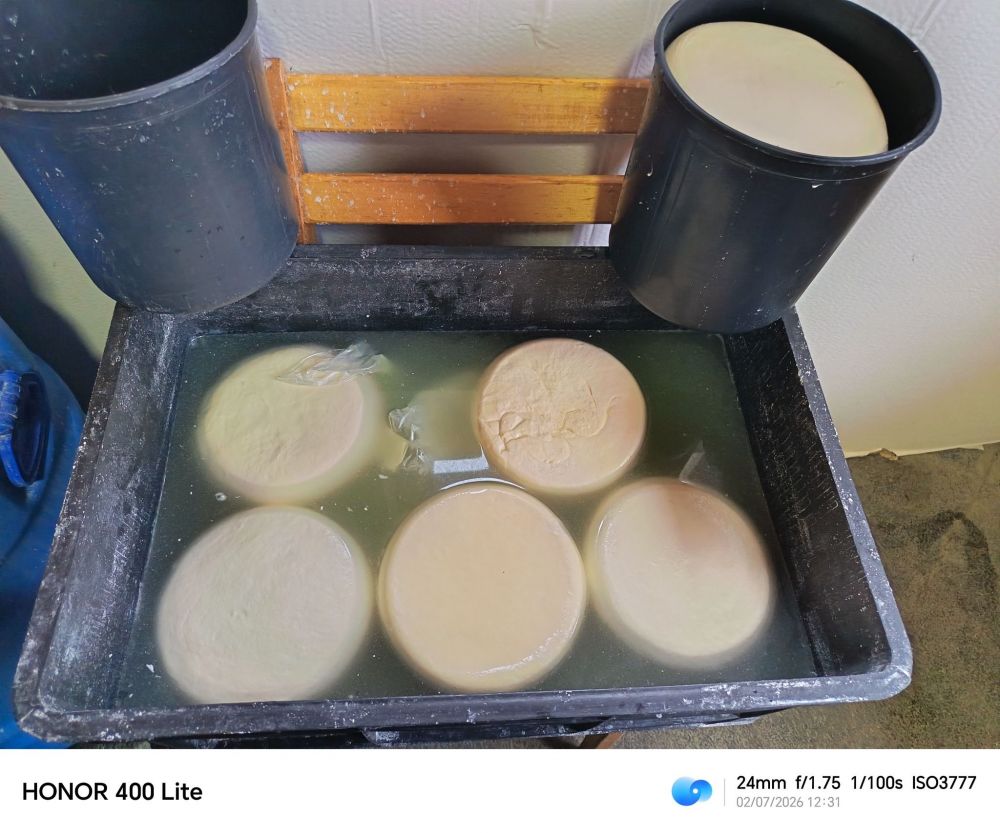 ბაღდათში რძის გადამამუშავებელი არარეგისტრირებული საწარმო გამოავლინეს