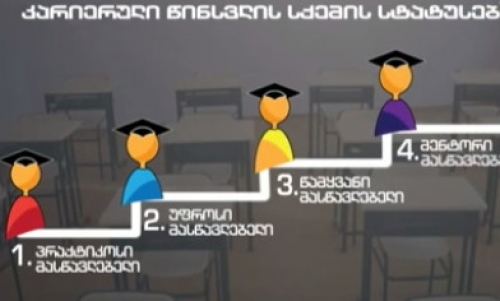 მასწავლებლების ხელფასის რაოდენობა მათ სტატუსზე იქნება დამოკიდებული