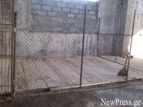 ტენდერში გამარჯვებული კომპანია ქუთაისის მერიას   ბრალდებას ძაღლსაფარის გამო უყენებს