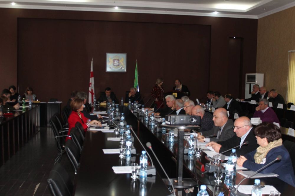 “ბიუჯეტის პროექტში   საკრებულოს შენიშვნები  შემოსავლების ნაწილს ეხებოდა”