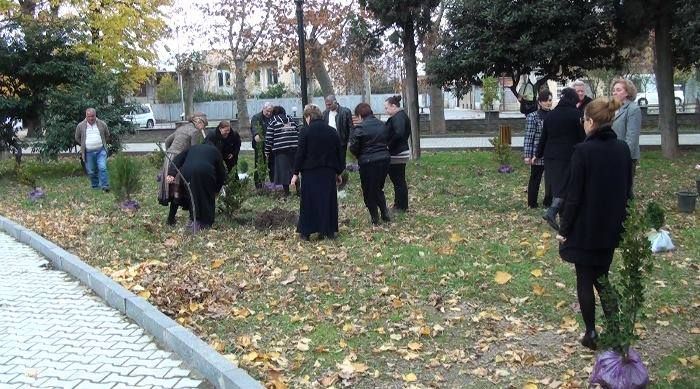 გამწვანების აქცია ნინოშვილის სკვერში