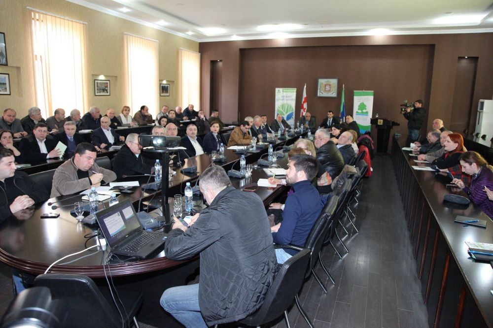 რას ითვალისწინებს ახალი “ტყის კოდექსი”?