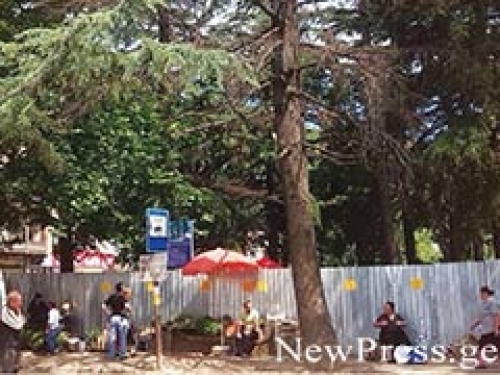 ქუთაისში 32 სკვერია გაიჯარებული