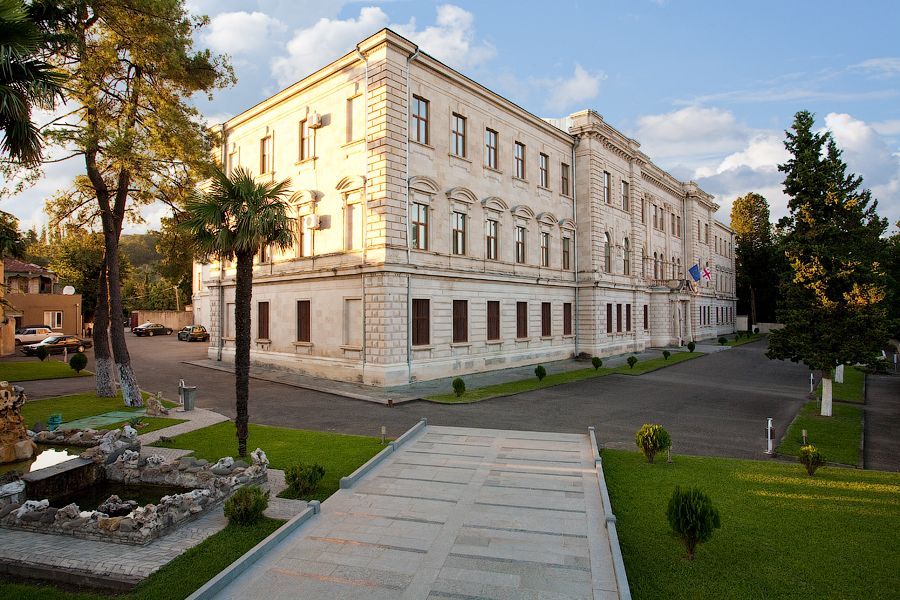 სააპელაციო სასამართლომ ბაღების გაერთიანების სარჩელი არ დააკმაყოფილა