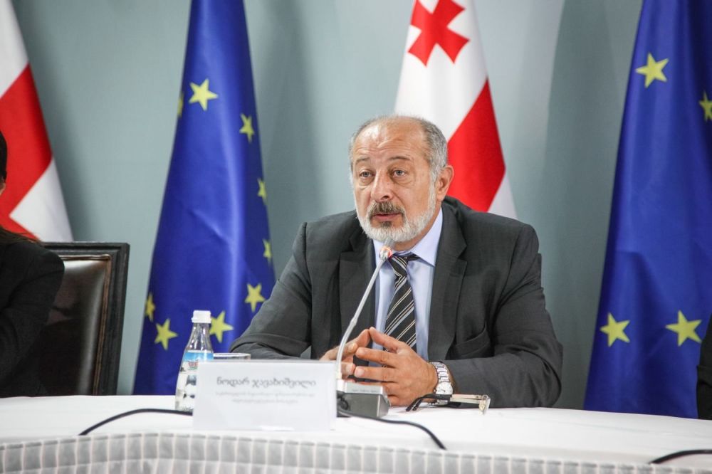 “საქართველოს იმდენი რესურსი არ აქვს საუნივერსიტეტო ქალაქები აშენოს”