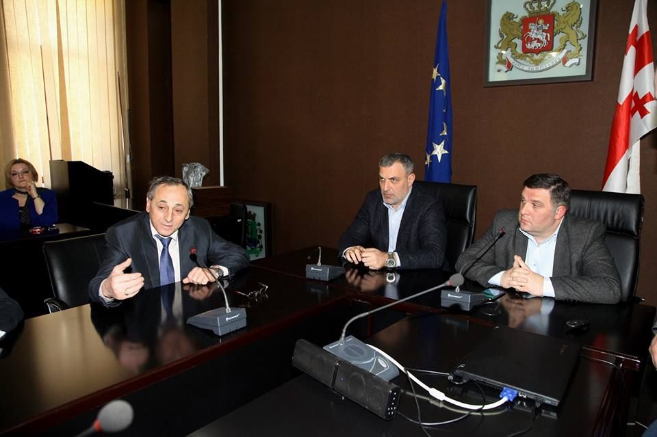 „შოთა მურღულიას ნება რომ ყოფილიყო, მეტი საქმე გაკეთდებოდა“-მერის მრჩეველი