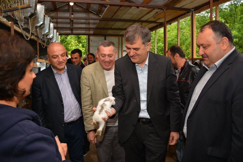 იმერეთში  53 დევნილს ევროკავშირის გრანტი გადაეცა