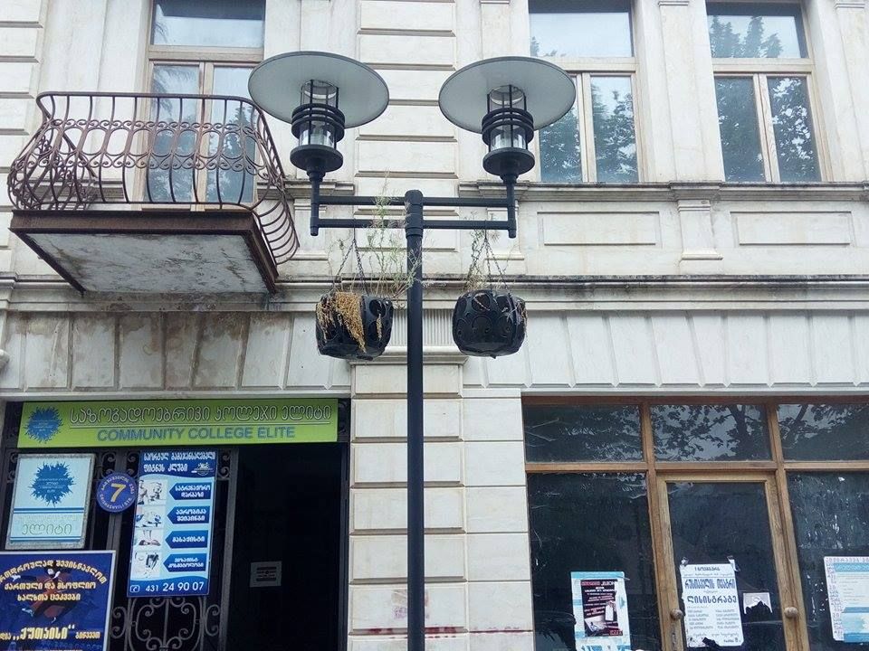 საფრთხის შემცველი ყვავილები ქუთაისის ცენტრში