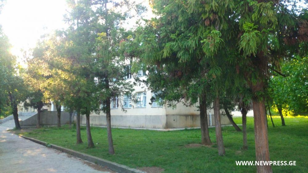 წყალტუბოში სკოლასთან მეთორმეტეკლასელი დაჭრეს