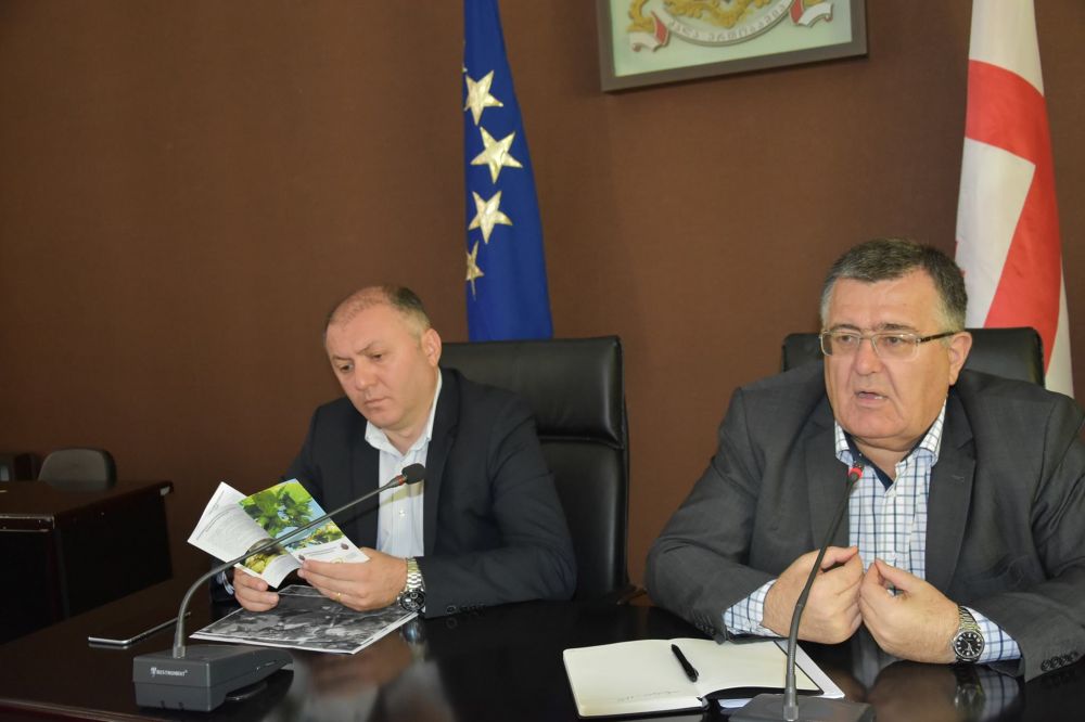 იმერეთში  აზიური  ფაროსანას შეწამვლითი სამუშაოები  იწყება