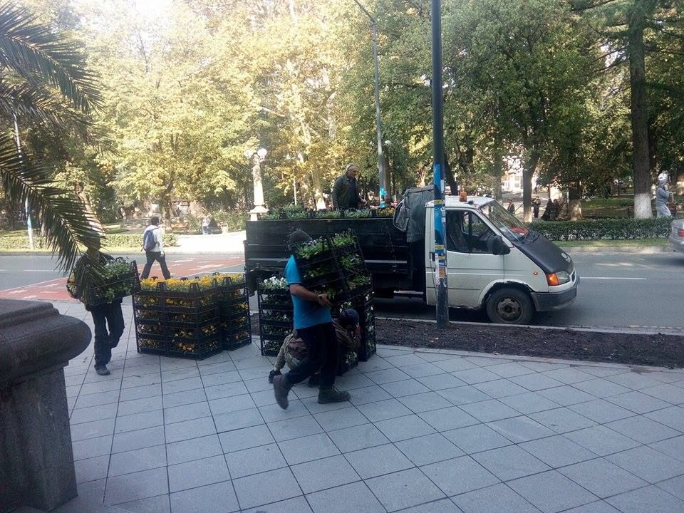 ქუთაისში 60 000  ძირ ყვავილს რგავენ