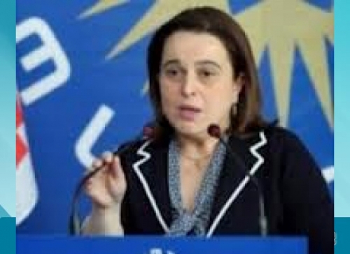 მანანა კობახიძე: “ნაციონალური მოძრაობა” სრულ პანიკაშია