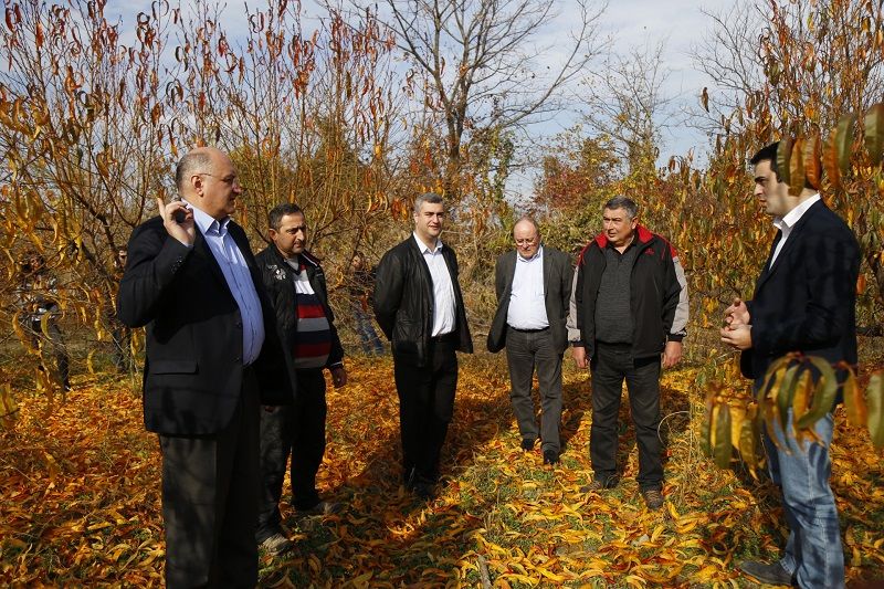 კახელ ფერმერებს სეტყვის შედეგად მიყენებული ზარალი აუნაზღაურდათ
