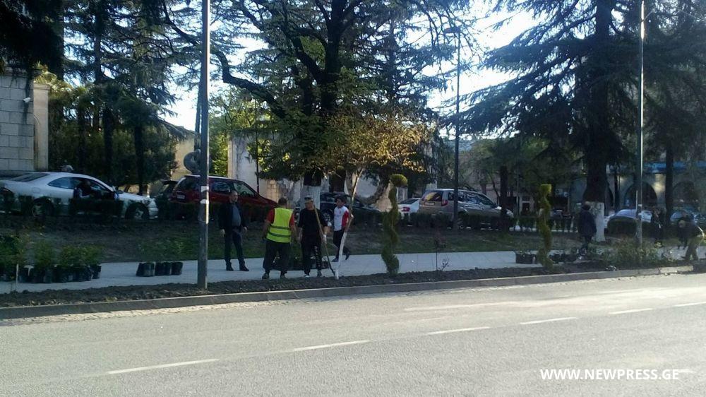 ქუთაისში ვარდის ნერგებს რგავენ