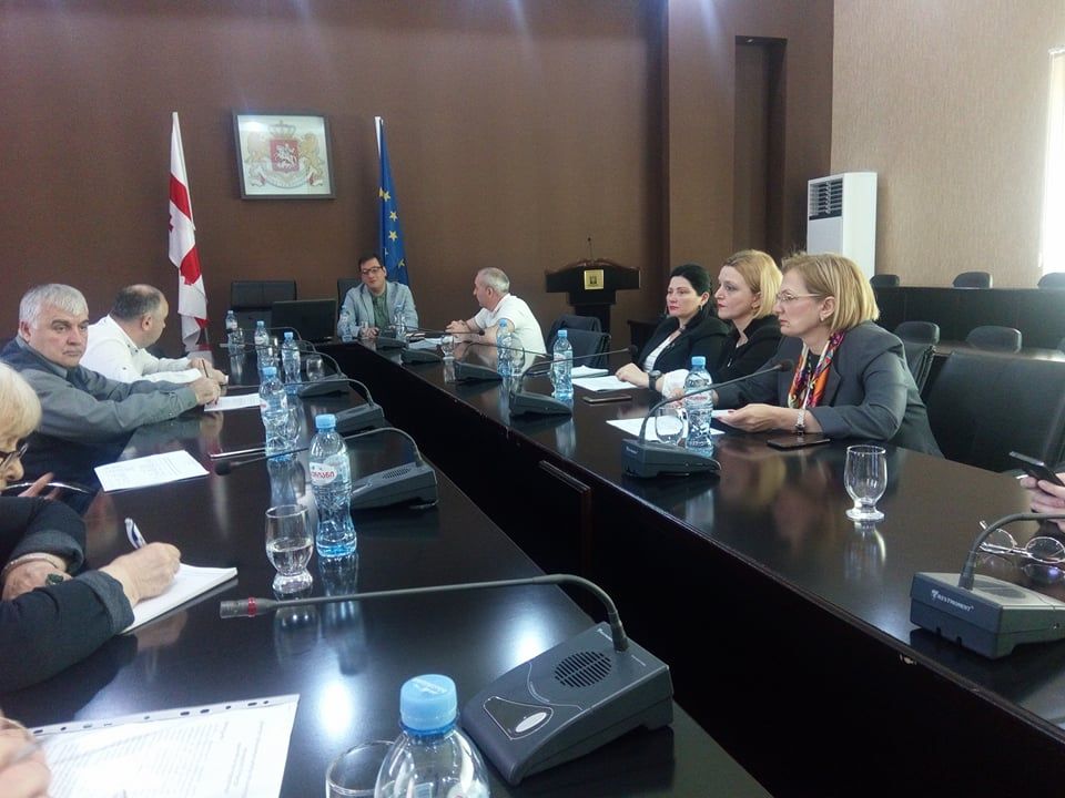 ქუთაისის საკრებულოსთან არსებულმა გენდერულმა საბჭომ სამოქმედო გეგმა დაამტკიცა