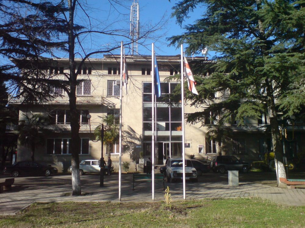 ზესტაფონის მერიას ყოფილმა თანამშრომელმა  სასამართლო დავა მოუგო