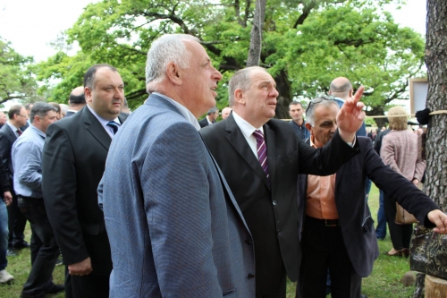16 819.00 კვ.მ მიწის ნაკვეთი მთავრობის „ფავორიტ“ კომპანიას 1 ლარად გადაეცა