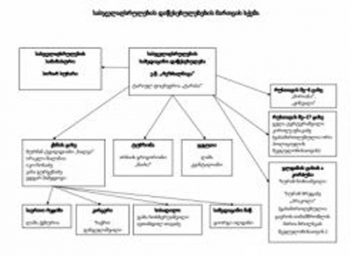 „ნაციონალურმა მოძრაობამ“ „კრიმინალური ავტორიტეტების“ მიერ ციხეების მართვის სქემა გამოაქვეყნა