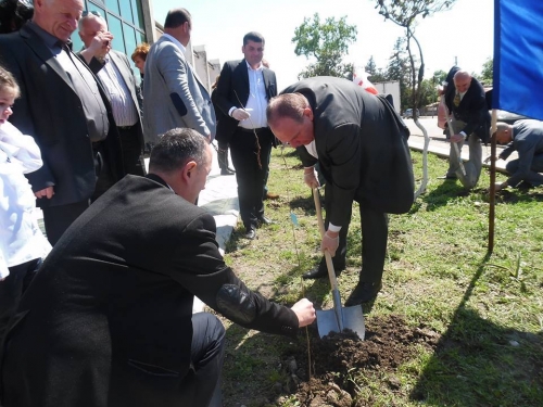 ხონში ევროპის ხეივანი გაშენდა