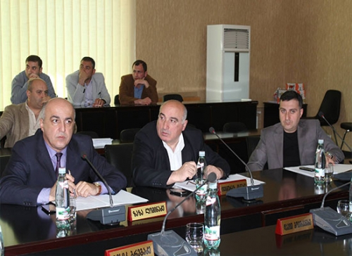 “ქალაქში ტურისტების მოძრაობა არ უნდა იყოს ქაოტური”