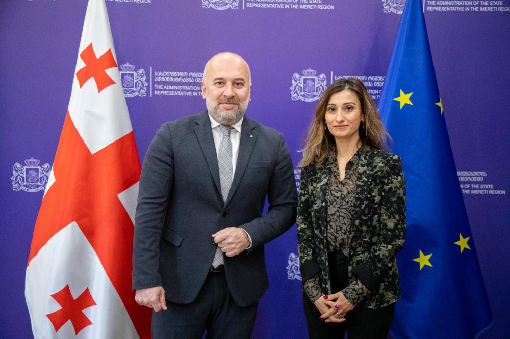 ზვიად შალამბერიძე  ნიდერლანდების სამეფოს ელჩს, მელინე არაკელიანს შეხვდა