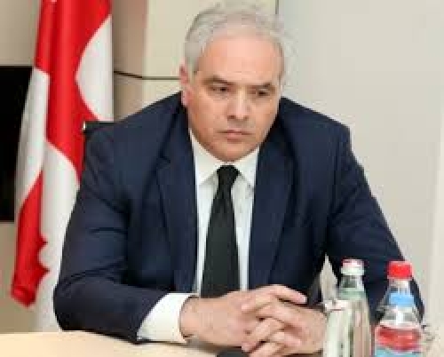 რა ქონებას ფლობს შსს–ს ახალი მინისტრი?