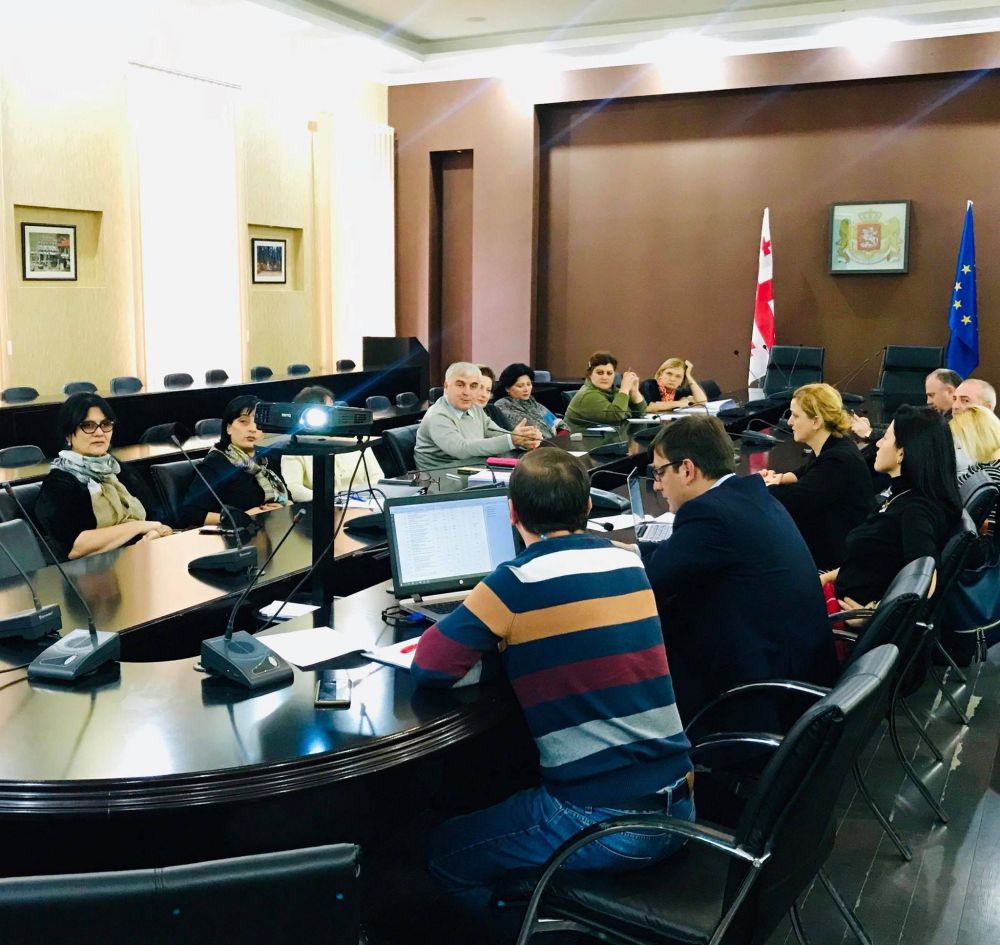 გენდერული თანასწორობის საბჭომ ქალაქის მთავარი ფინანსური დოკუმენტი განიხილა