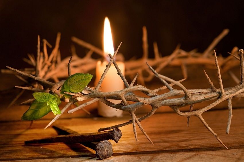 მკლავჭიდსა და პარამკლავჭიდში გამარკვებულებს ქუთაისის მერიაში მიღება მოუწყვეს