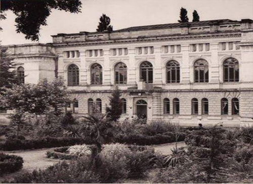 აკაკი წერეთლის  უნივერსიტეტში  მუზეუმი კეთდება