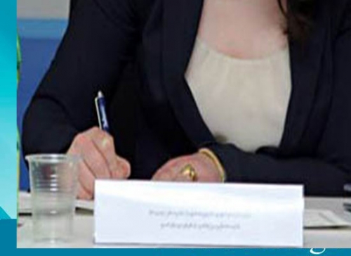 შუღლის გაღვივების თაობაზე ინიცირებულ კანონპროექტს არასამთავროები იწუნებენ