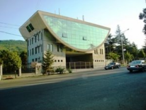 სადისციპლინო კომიტეტმა ქუთაისის “ტორპედოს” 18 300 ლარიანი ჯარიმა დააკისრა