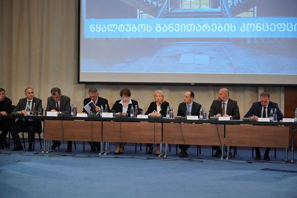 “ჩვენი ამოცანაა, რომ კურორტი წყალტუბო 2024 წლიდან უკვე ამოქმედდეს” -ნათია თურნავა