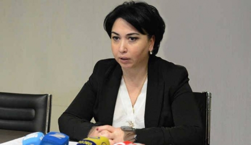 ,,ძალიან საინტერესო გადაწყვეტილება მიიღო პრემიერმა” – ეკა ბესელია