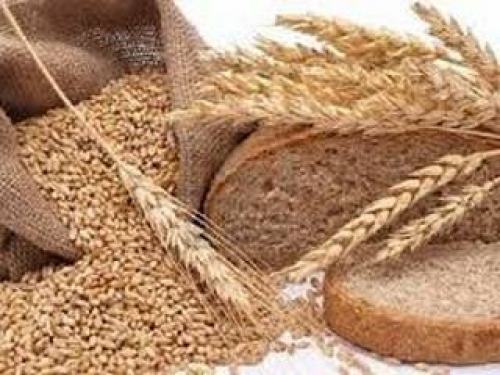 1 სექტემბრიდან ხორბლის ფქვილის ტექნიკური რეგლამენტი ამოქმედდება