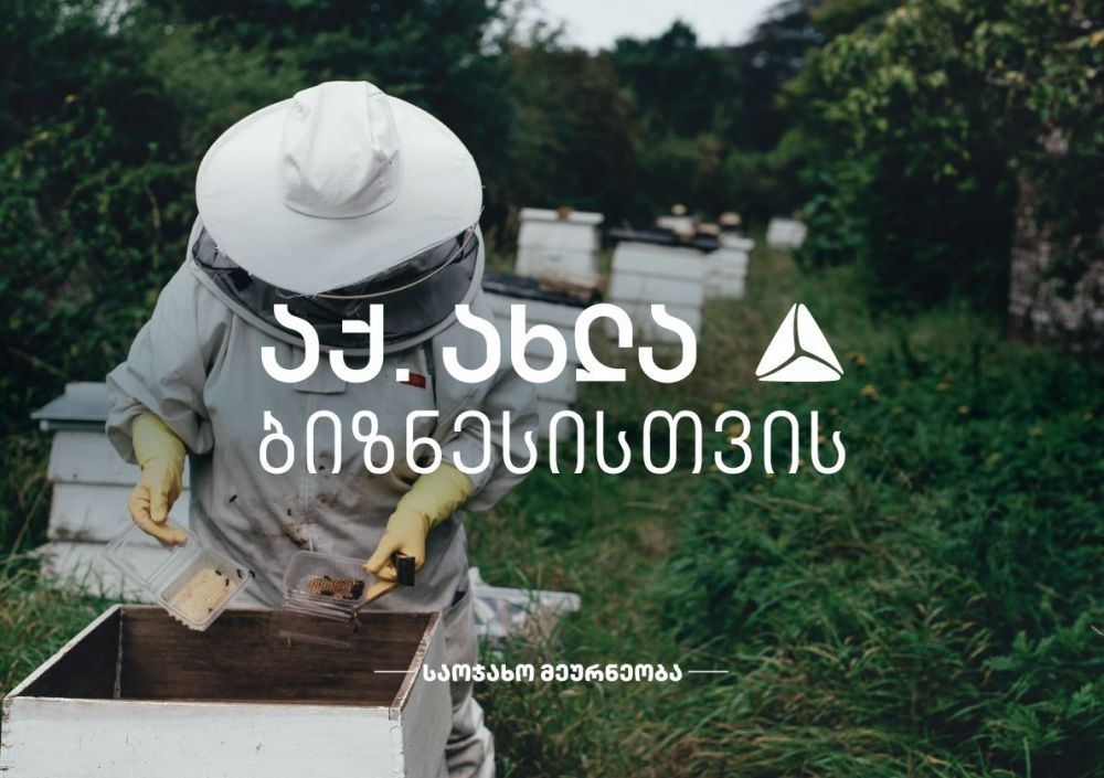 თიბისის მხარდაჭერით იმერეთში თაფლის წარმოება ფართოვდება [R]