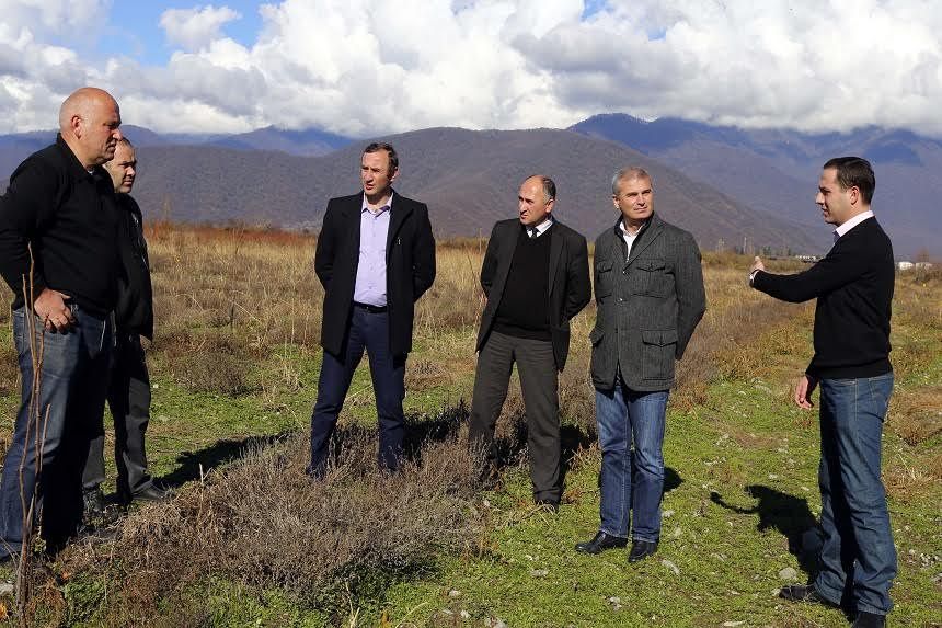 „დანერგე მომავალის“ ფარგლებში კოოპერატივმა  ახალი ხეხილის ბაღი გააშენა