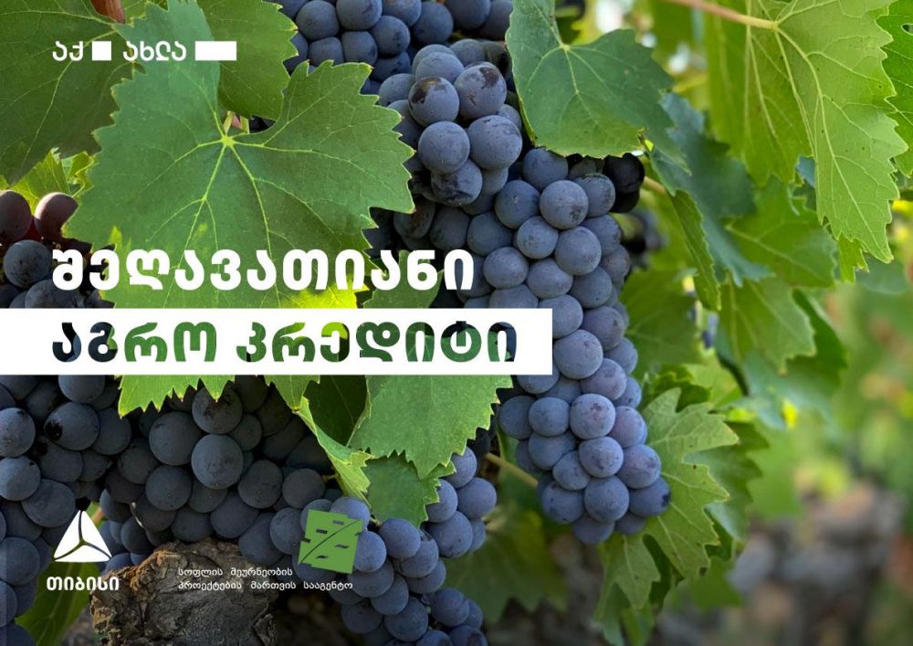 თიბისი  ღვინის საწარმოებს  პროექტ „შეღავათიანი აგროკრედიტის“ ფარგლებში  გაუმჯობესებულ პირობებს სთავაზობს  [R]