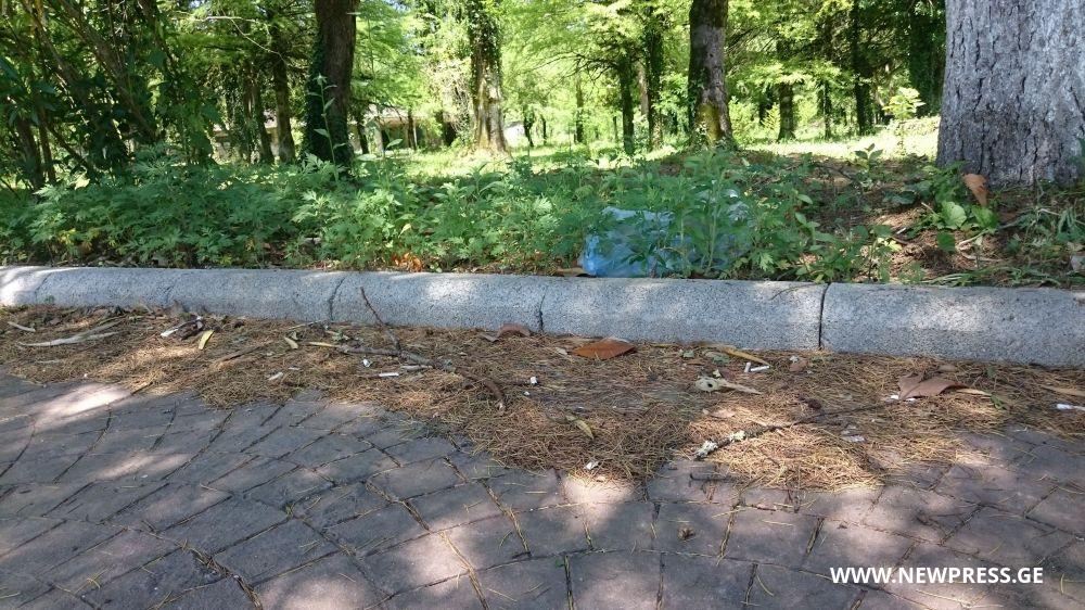 წყალტუბოში, სოფელ მუხიანთან რეგიონული ნაგავსაყრელის აშენება იგეგმება