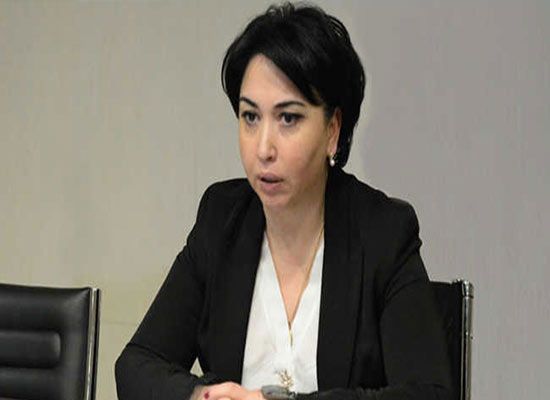 რა ქონებას ფლობს ეკა ბესელია ?