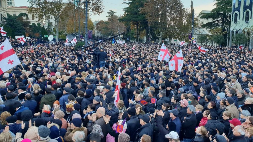 ოპოზიცია საპრეზიდენტო არჩევნების შედეგების გაუქმებას და ვადამდელ საპარლამენტო არჩევნებს ითხოვს