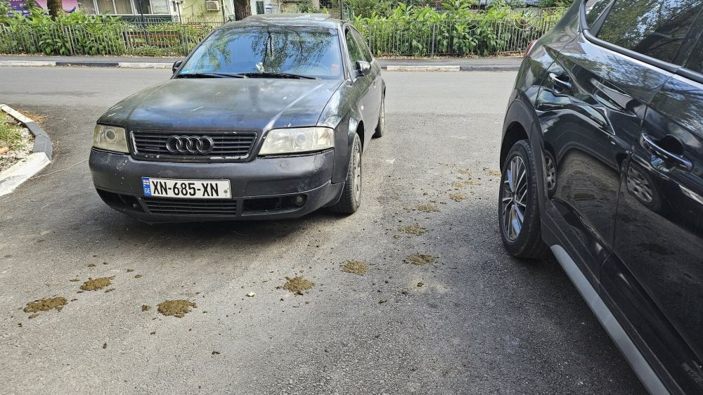 ქუთაისის საოლქო საარჩევნო კომისიის თავმჯდომარე კორონავირუსით გარდაიცვალა
