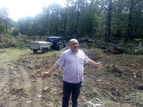 “მუხნარის ტყეში უნივერსიტეტის მშენებლობას ასეულობით ძირი ხე გადააყოლეს” – გოგი წულაია