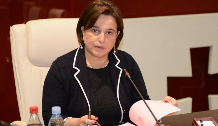 საკონსტიტუციო სასამართლოს მოსამართლის პოსტზე მანანა კობახიძის კანდიდატურა განიხილება