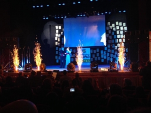 მუსიკალური დაჯილდოება „მეგა 2014“