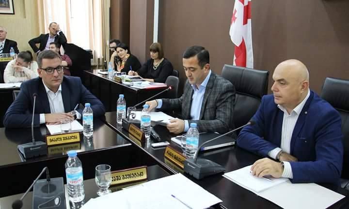 ქუთაისის საკრებულოს თავმჯდომარის მოადგილეებად  ირაკლი შენგელია და რამაზ ჩხიკვაძე დასახელდნენ