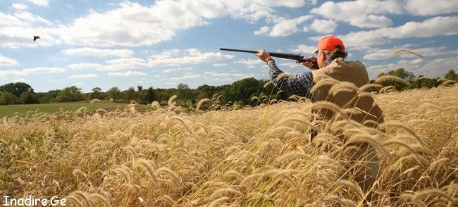 ნადირობის სეზონი ოფიციალურად იხსნება