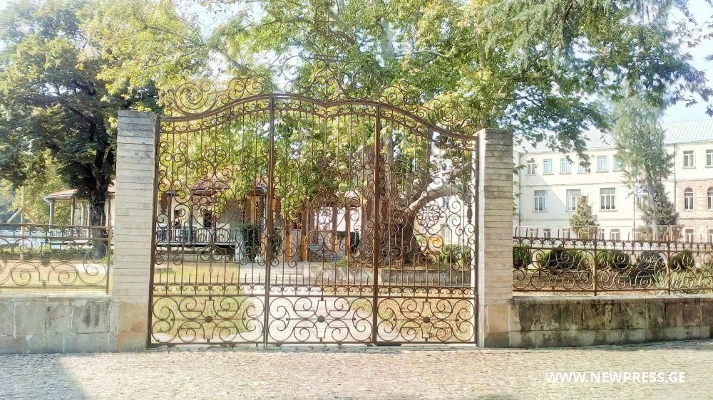 “ოქროს ჩარდახი” დამოუკიდებელი ააიპი აღარ იქნება